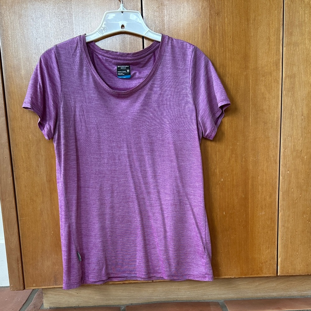 Icebreaker Cool Lite Short Sleeve Tee in Purple